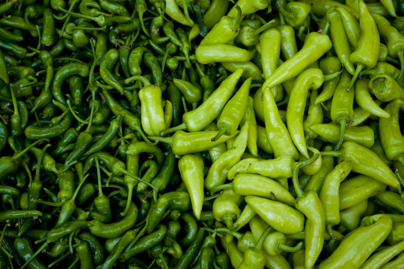 Fresh produce that you can get for free with Oregon Food Stamps.