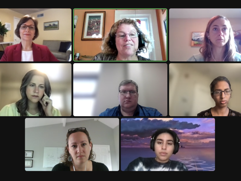A still from the roundtable video featuring eight speakers on a Zoom call.